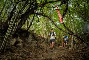 BIB: 
                            <button type="button" onclick="openModal(22178105)" class="btn btn-primary btn-sm float-right btn-popup" data-toggle="modal" data-target=".modal-high-quality">
                        <i class="fas fa-shopping-cart"></i> Add to Cart
                    </button>
                                            <button type="button" onclick="isThisMe(22178105, true)" class="btn btn-success btn-sm float-right btn-popup btn-isme hidden" data-toggle="tooltip" data-placement="bottom" title="นี่คือรูปของคุณใช่ไหม คลิกที่นี่เพื่อเอาเข้าอัลบั้ม">
                        <i class="fas fa-plus"></i> Add to album
                    </button>
                    <button type="button" onclick="isThisMe(22178105, false)" class="btn btn-warning btn-sm float-right btn-popup btn-isnotme hidden">
                        <i class="fas fa-ban"></i> Remove from album
                    </button>